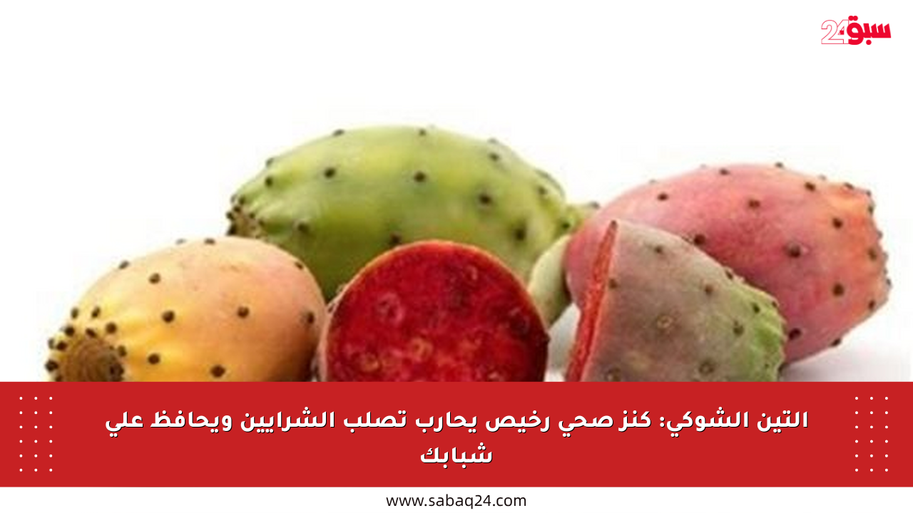 التين الشوكي: كنز صحي رخيص يحارب تصلب الشرايين ويحافظ على شبابك